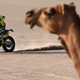 Illustration for article titled This Is The Route For The 2021 Dakar Rally